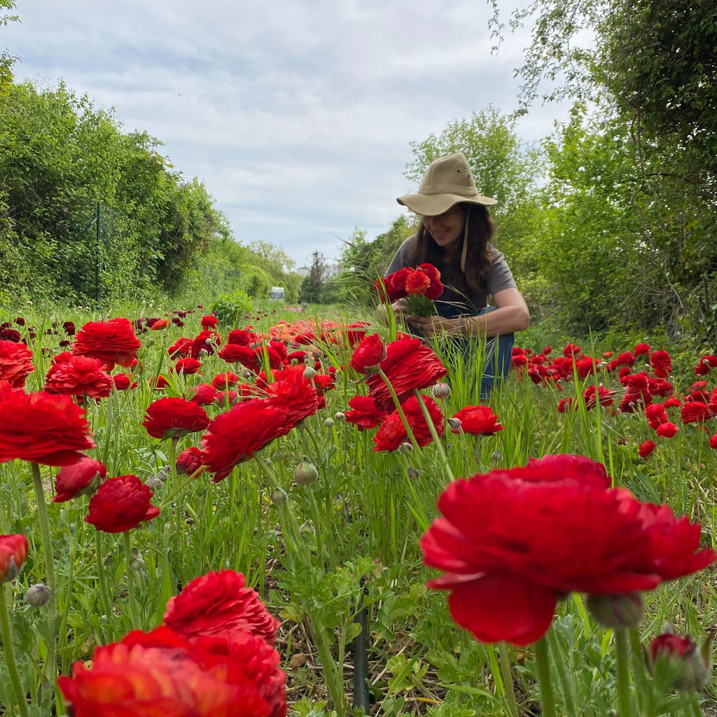 Murs à Fleurs